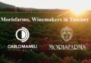 Morisfarms, winemakers in Tuscany