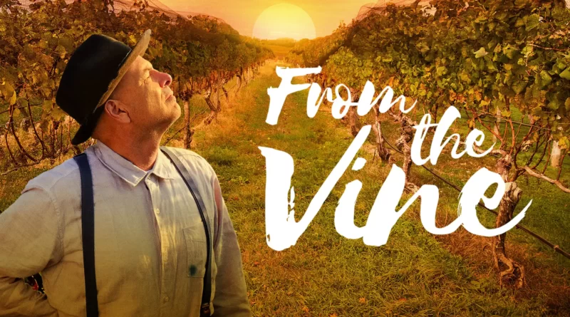 From The Vine, Wine movie