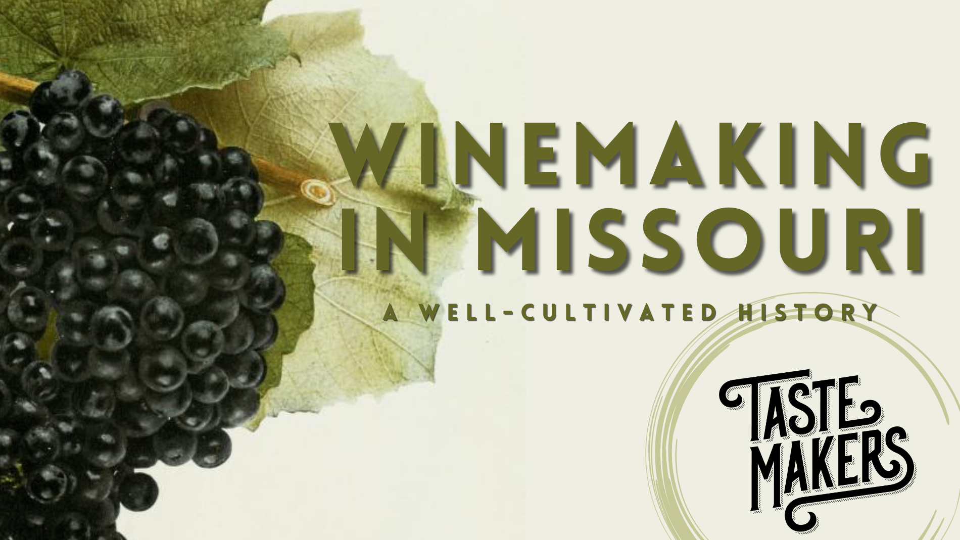 Winemaking in Missouri A WellCultivated History