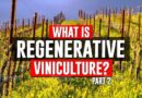 regenerative organic certified vineyard