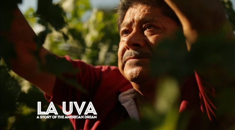 La Uva - film winemakers United States
